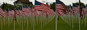 Memorial Day We Remember our veterans Thank you veterans USA