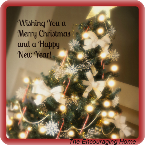 Merry Christmas and a happy new year!