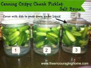 Canning Crispy Chunk Pickles: cover in salt brine