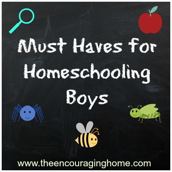 Here are my Must Haves for Homeschooling Boys