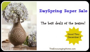 Check out the great deals at DaySpring!
