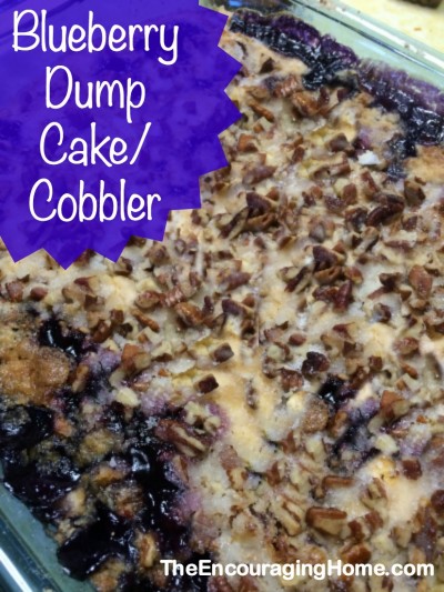 Blueberry Dump Cake/Cobbler