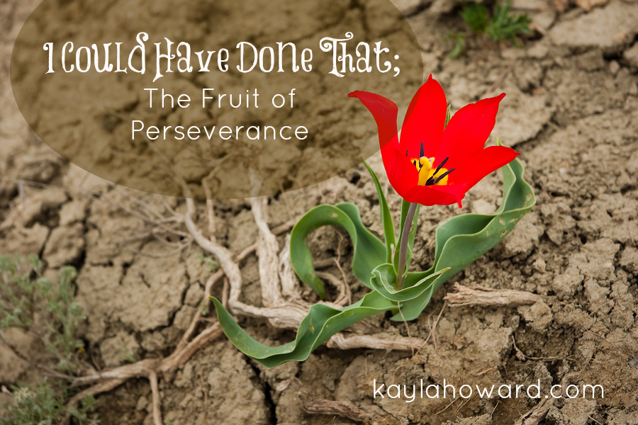 I Could Have Done That: The Fruit of Perseverance - The 