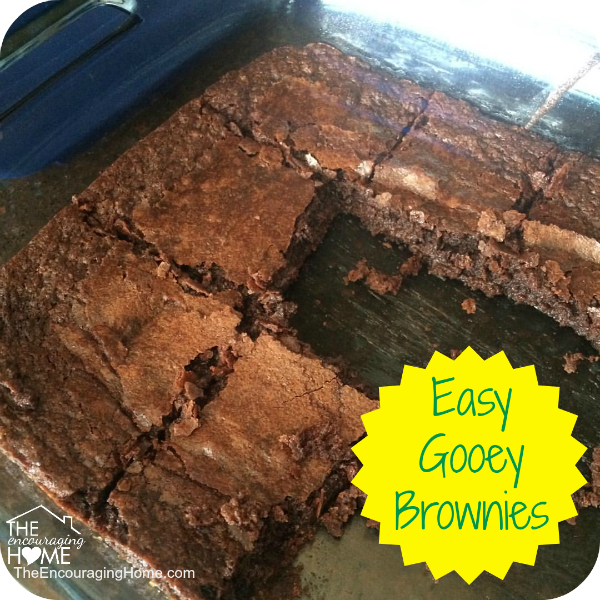 Timothy’s Easy Gooey Brownies