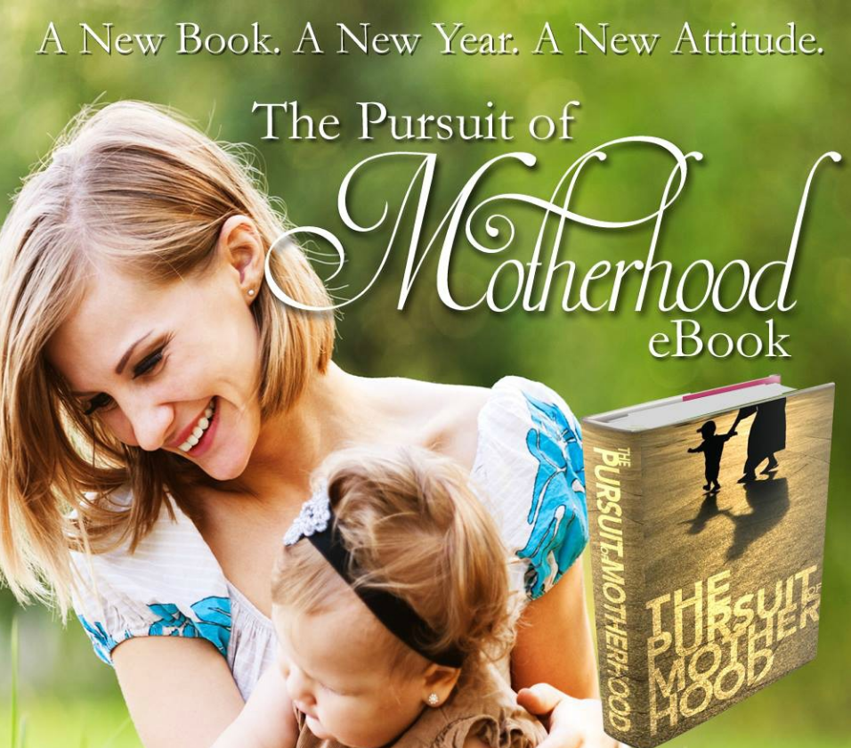 The Pursuit of Motherhood: Helping You on the Motherhood Journey