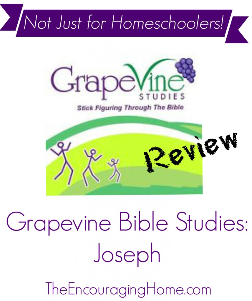Grapevine Bible Studies: Joseph