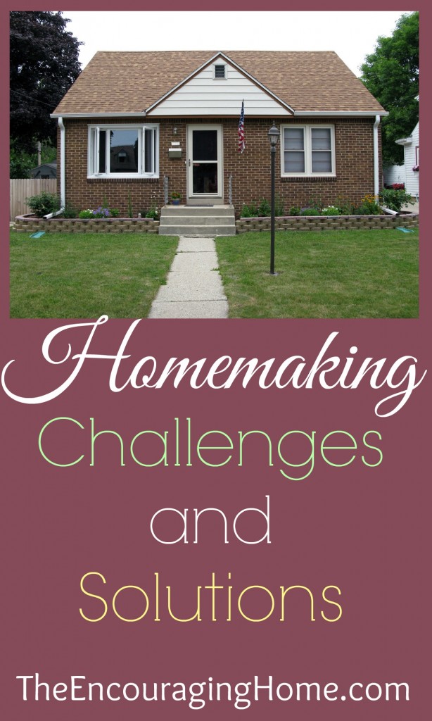 Homemaking Challenges and Solutions